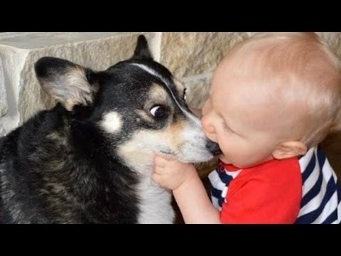 Super ridiculous BABY & TODDLER & KID videos #20 – Funny and cute compilation – Watch and laugh!